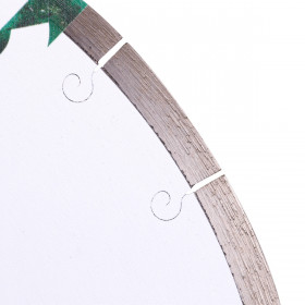 Diamentowa tarcza tnąca 1A1RSS 350x25,4 CeraForce, Distar №2