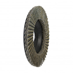 Diamond FLAP disc 115*22,23 #120 Scrub