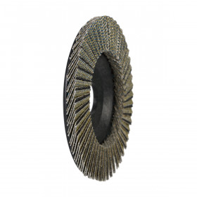 Diamond FLAP disc 115*22,23 #120 Scrub, Distar №2